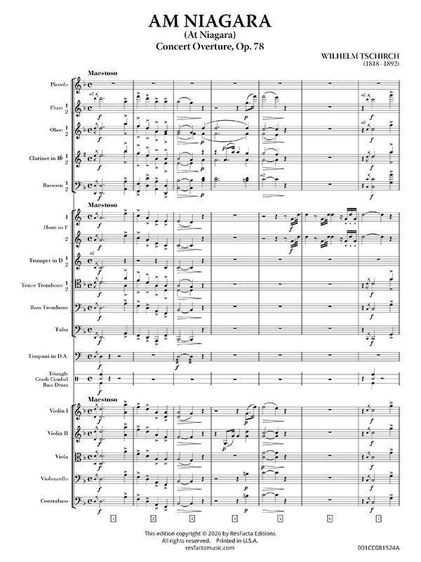 Am Niagara, Op. 78 preview 1