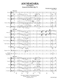 Am Niagara, Op. 78 thumbnail 1
