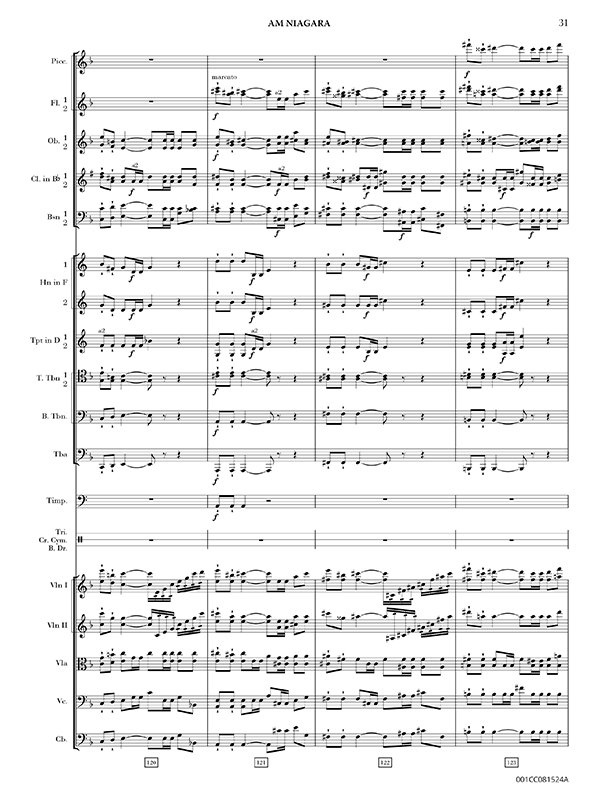 Am Niagara, Op. 78 preview 2